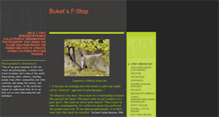 Desktop Screenshot of buketsahin.com